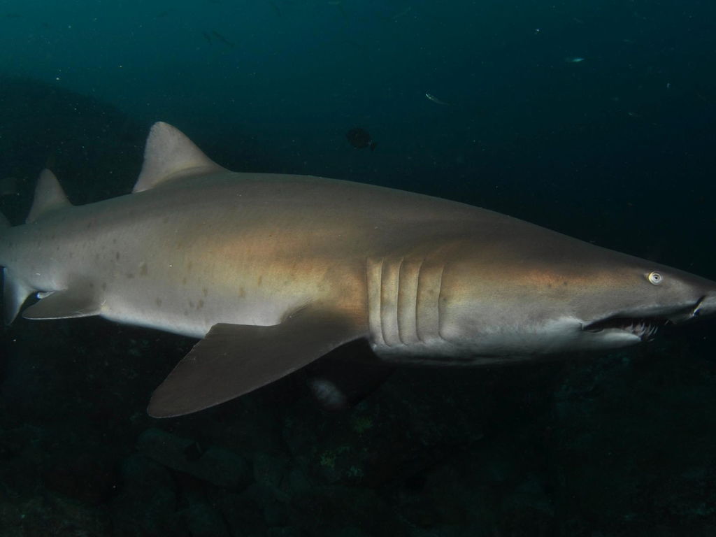 be4ec092-265a-48c4-963c-c55f413b9313