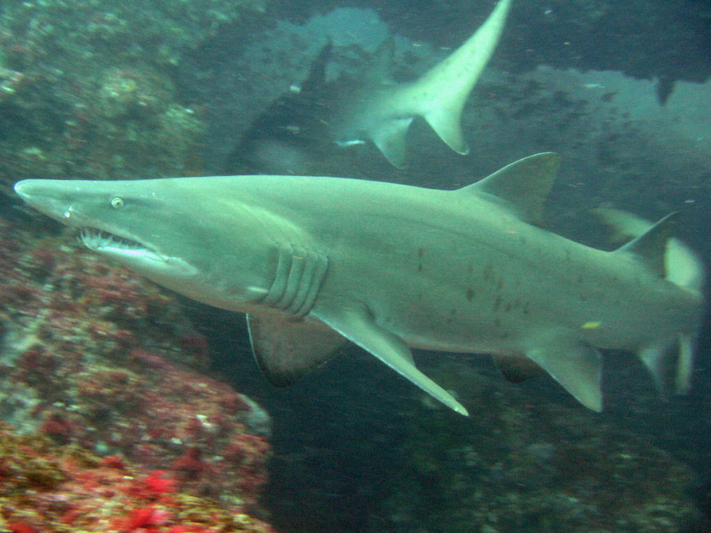 bbbafaa8-5da8-41b5-8afb-e8001819070b