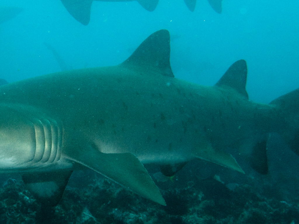 3aa37cca-5469-4cc2-8450-716ca74ddb28