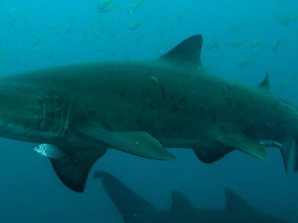 29033d5a-cdb0-4cb5-904f-b04cffee3a65