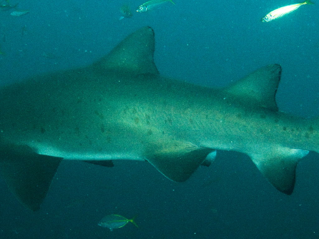 7baf7cec-8b26-4e3a-b7a4-b5b0bc28ddad