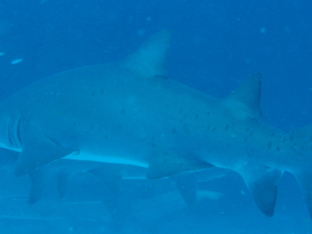 e01fd35e-ae97-4d6e-9cd8-9cd38adba9b2