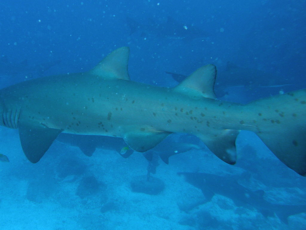 18563e31-15be-4f81-833e-7997238bac26