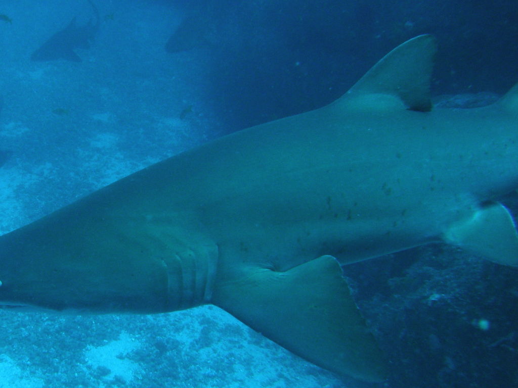 4ee6751d-a78d-471e-a996-129f4d7e49e0