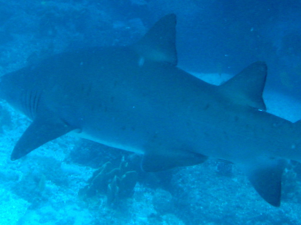 cf0f6488-d2ac-4e1e-a0c7-0d9ac6f45b01