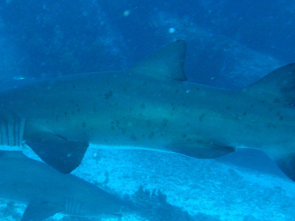 c22af6c8-8caa-420d-93f5-cd23a77e7bbb