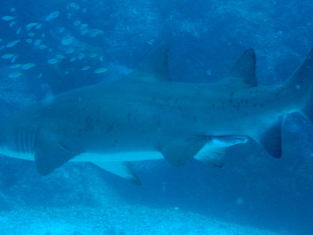 32220e94-0dbd-40c0-9882-c02478a80a5f