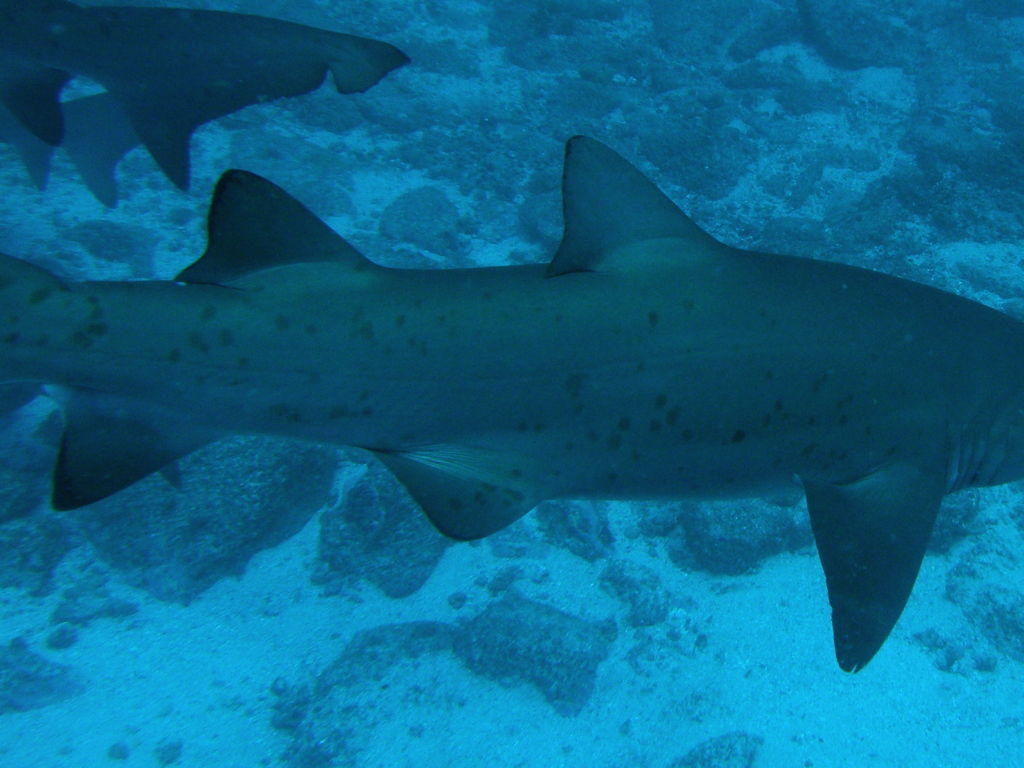 1b7b9feb-4293-4610-a380-bfb387aa3631