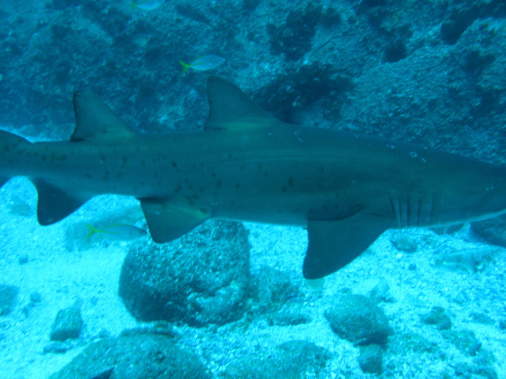 564d403a-bbf0-4508-8b53-0c3a33de83ec