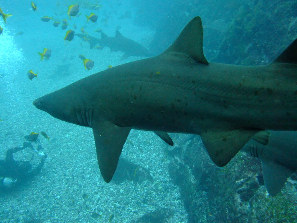 1b90ff1a-6087-47a9-872b-ac1a48cf477e