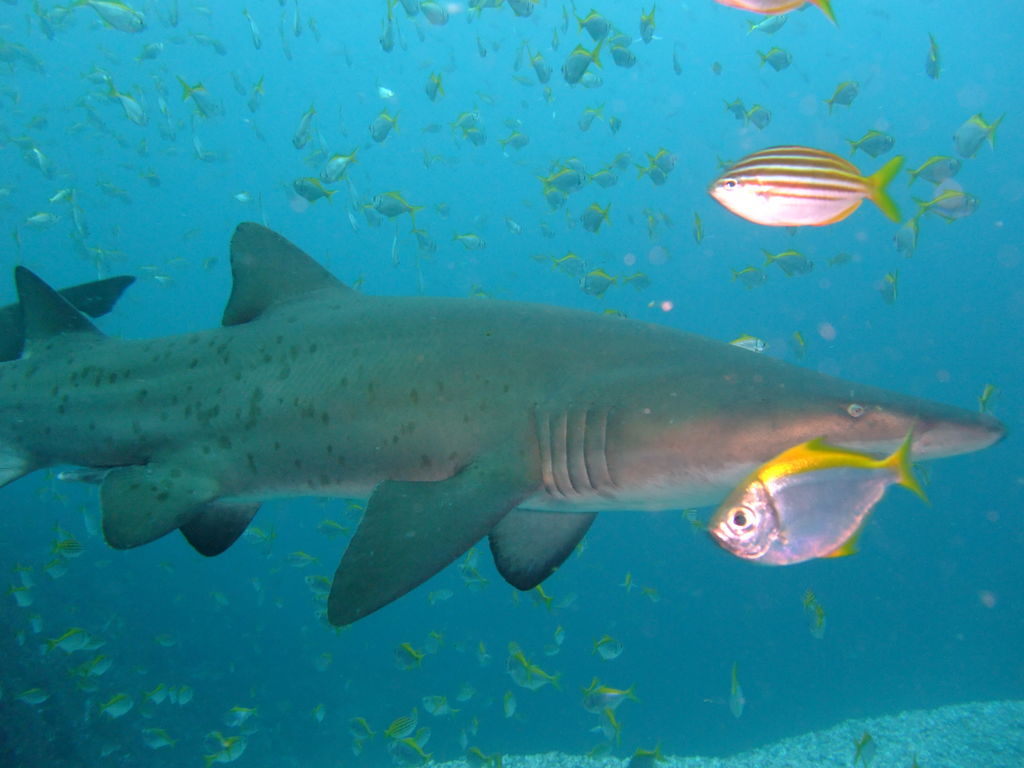 14579da4-152a-4f49-9842-5100aac03d26