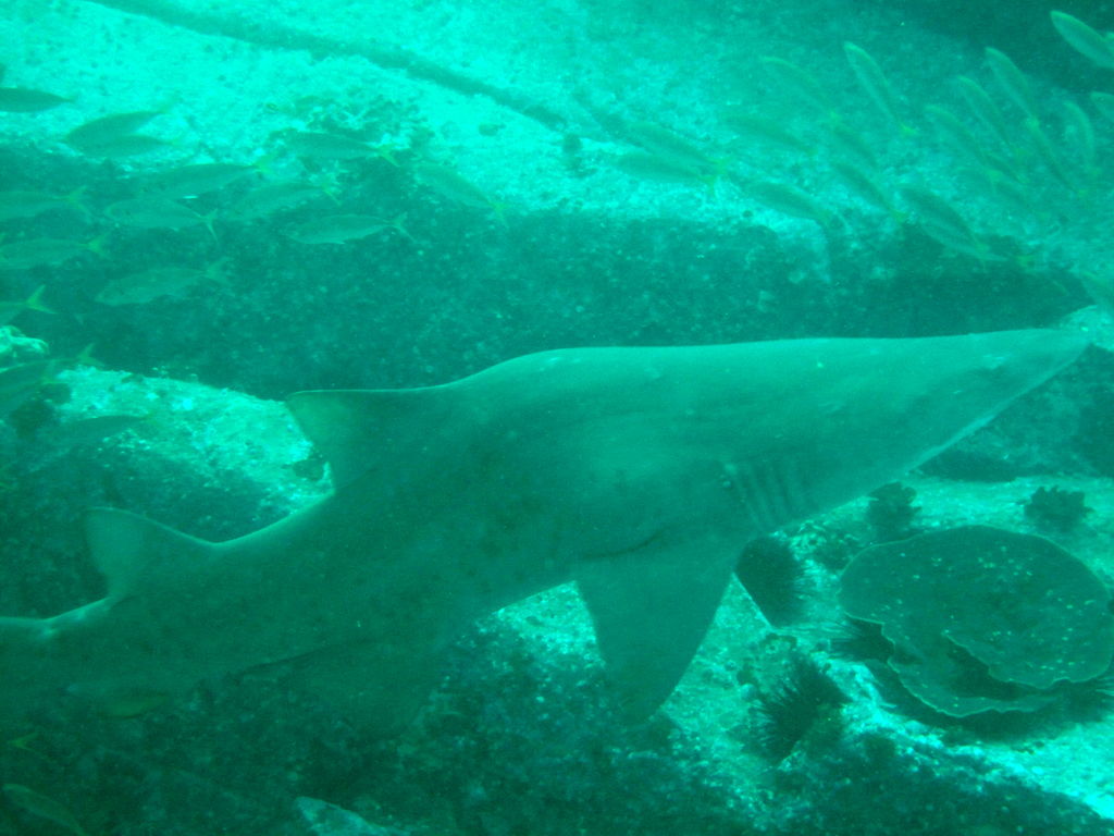 d8d5cde1-3862-4f6d-a65d-5f73d8de1edd