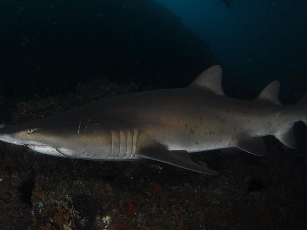 cc24b159-a5d9-491a-b326-75db4611f3d4