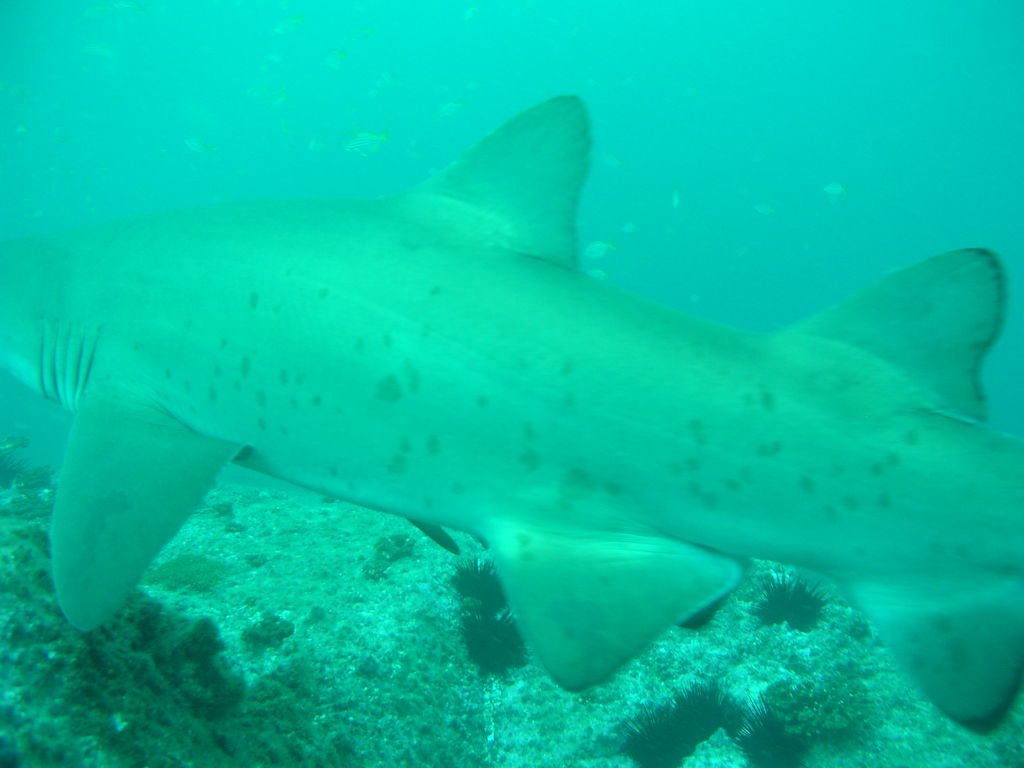 9b322fa7-a1f9-4219-929b-ec24da08ee65