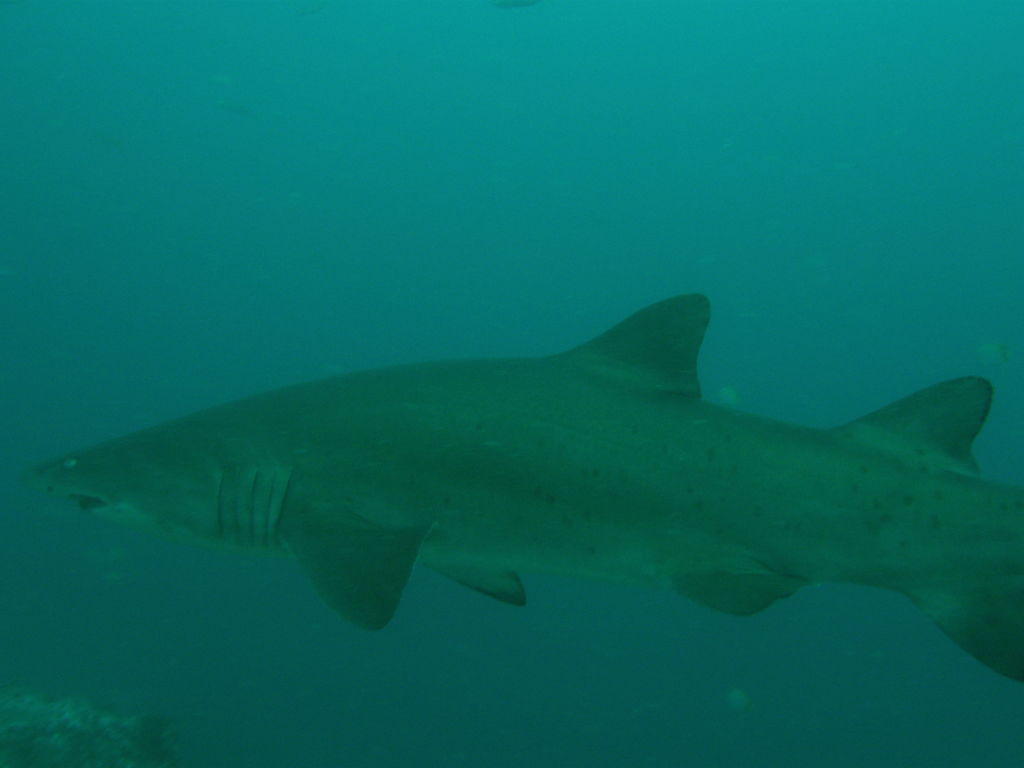 31ec0512-7082-493f-a215-50f8b0ffeb37