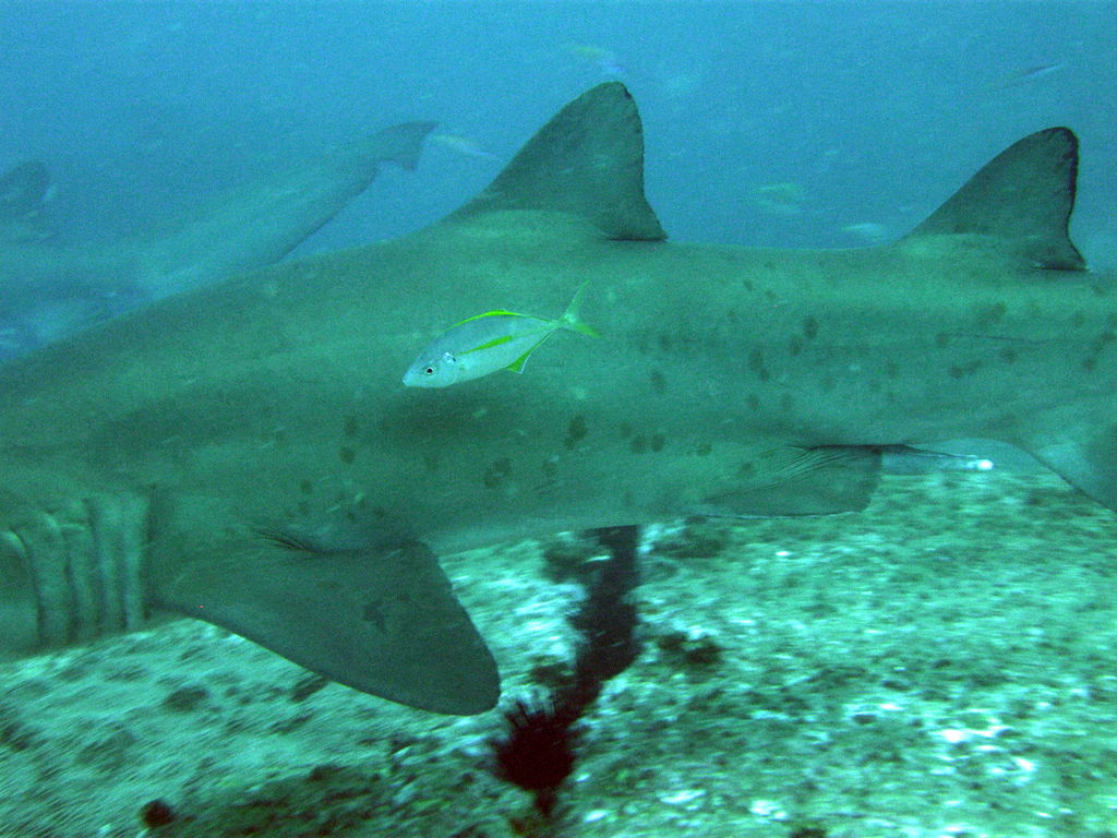 6abf613a-4f84-4d69-a169-6883235f38d4