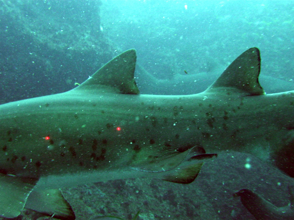 518eedd6-7676-4bca-b1f7-40210ba397a1