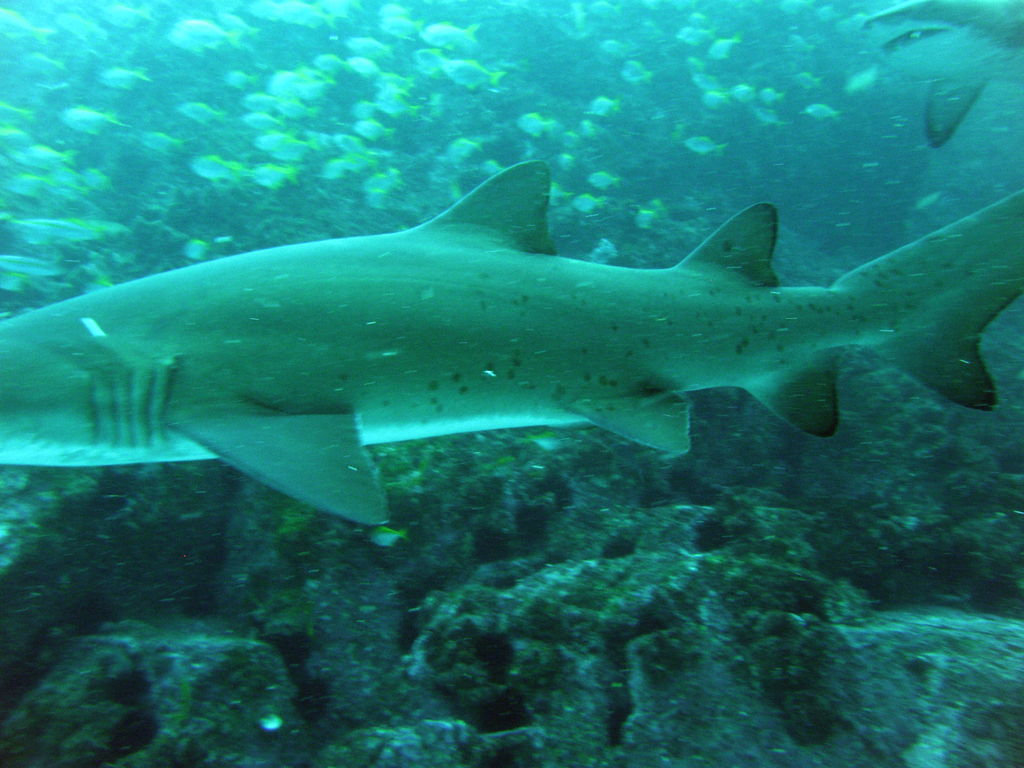 29d8ddf0-1b29-4144-8ff6-2f9a3dd08797