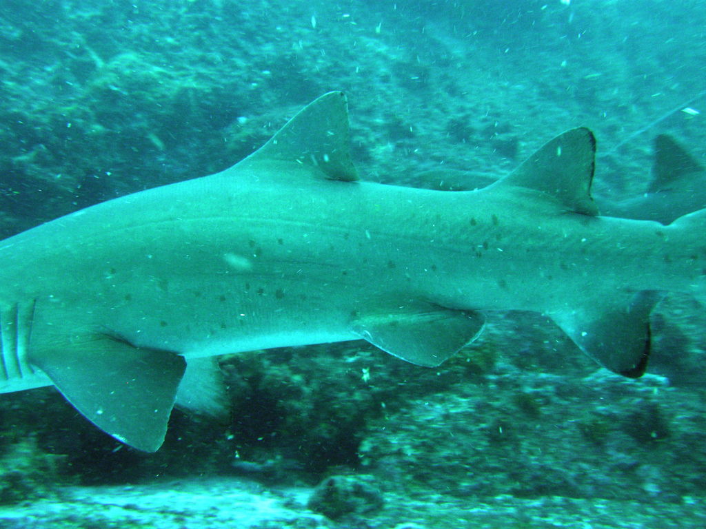 8b799435-8350-484e-b4e5-6ad9cd6184e7