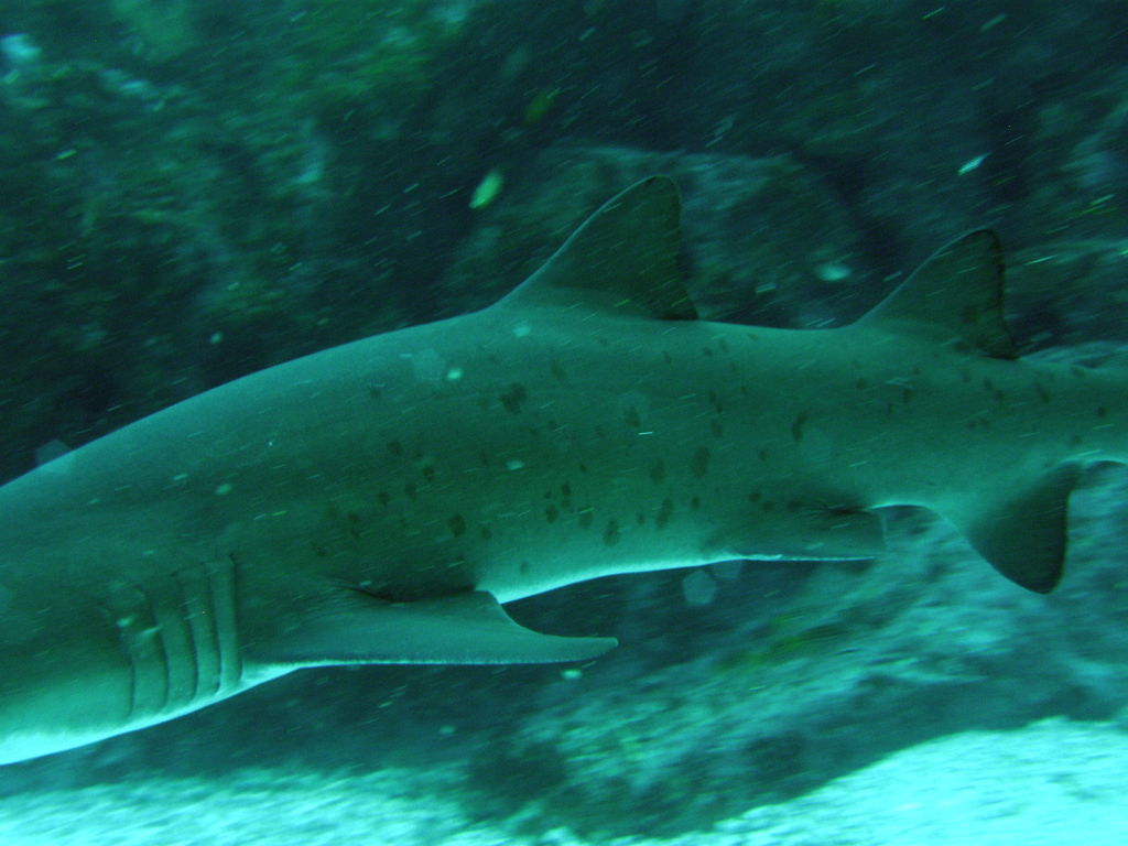 c22af6c8-8caa-420d-93f5-cd23a77e7bbb