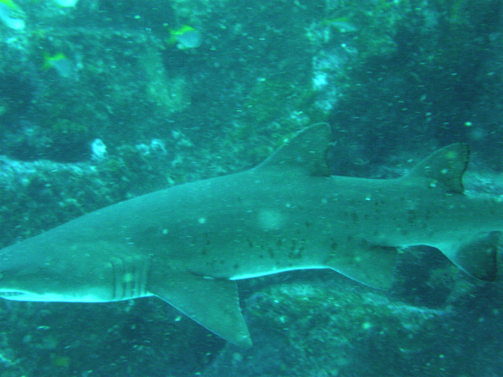 518eedd6-7676-4bca-b1f7-40210ba397a1