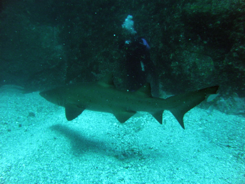 1fb95161-f21c-44d0-beb3-bd3e69a6fd6e