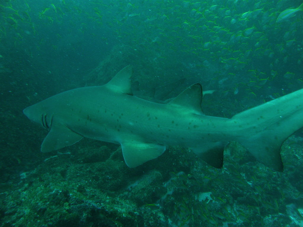 1fb95161-f21c-44d0-beb3-bd3e69a6fd6e