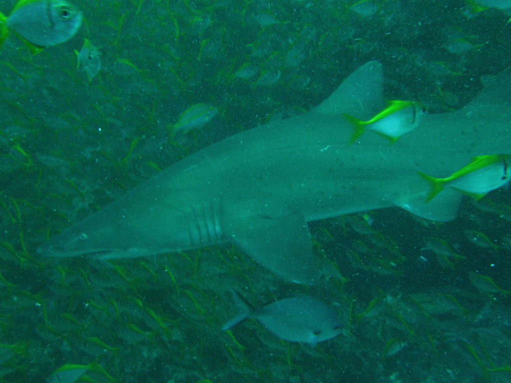 8b799435-8350-484e-b4e5-6ad9cd6184e7