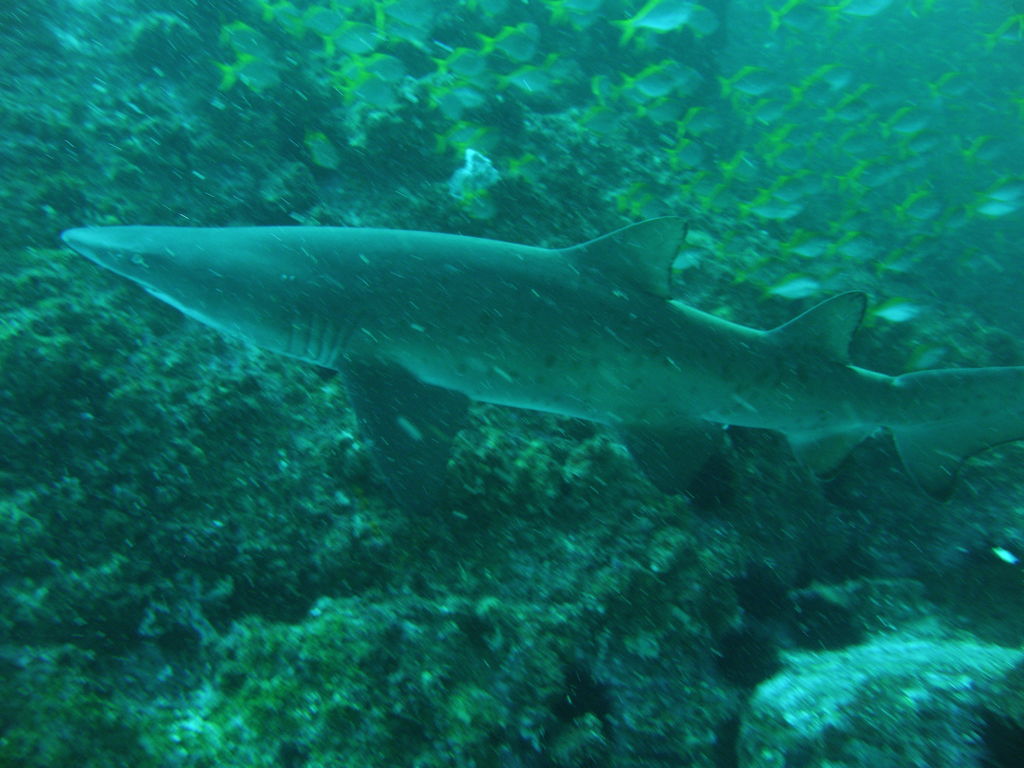 9e1709ea-16ff-4916-86a3-374ad6a98bde