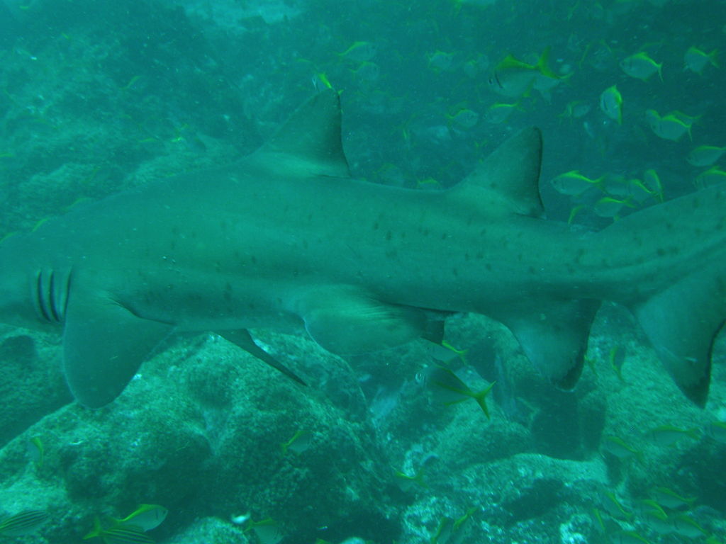 496e284e-ac6a-4f33-bd2d-028a311ca065