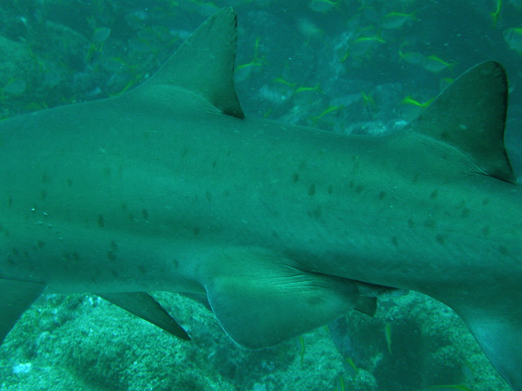 496e284e-ac6a-4f33-bd2d-028a311ca065