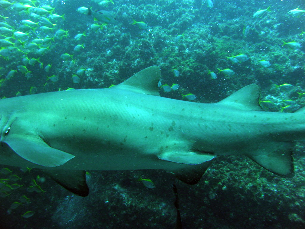 255448df-fefd-4cb8-ac26-c554eaf47ac6