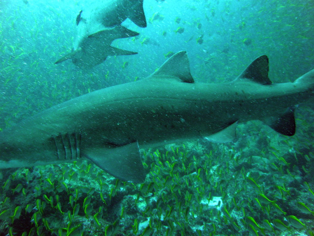 8b799435-8350-484e-b4e5-6ad9cd6184e7