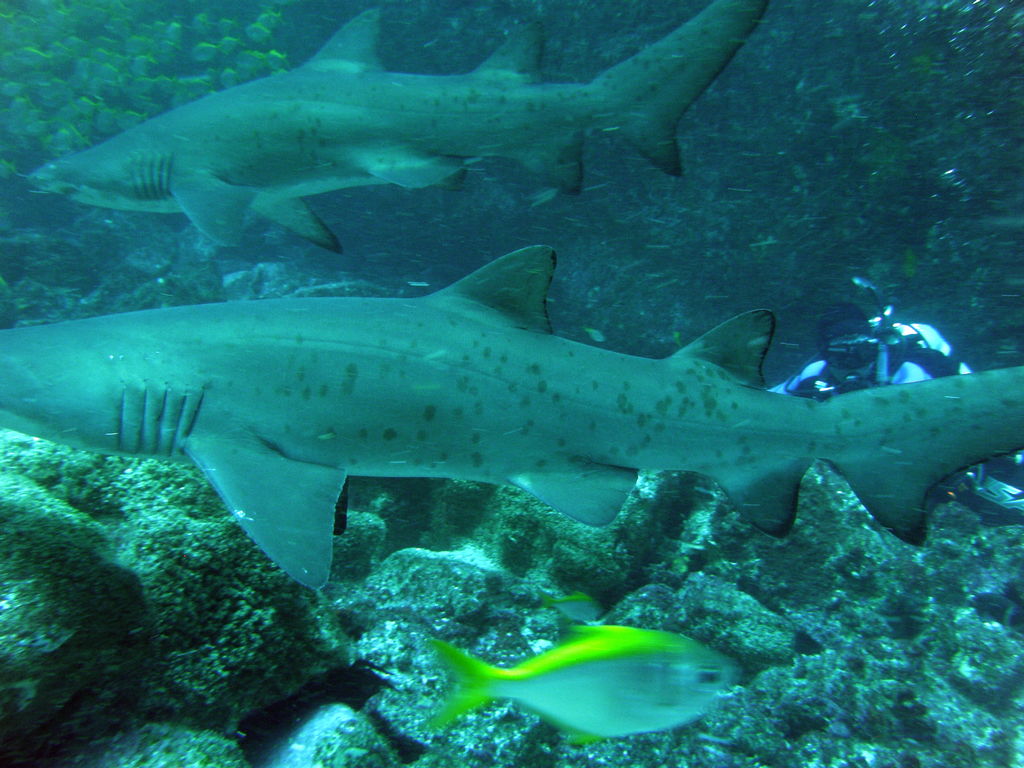 ed688cd6-3a61-46d6-86fd-61590b3c6fbc