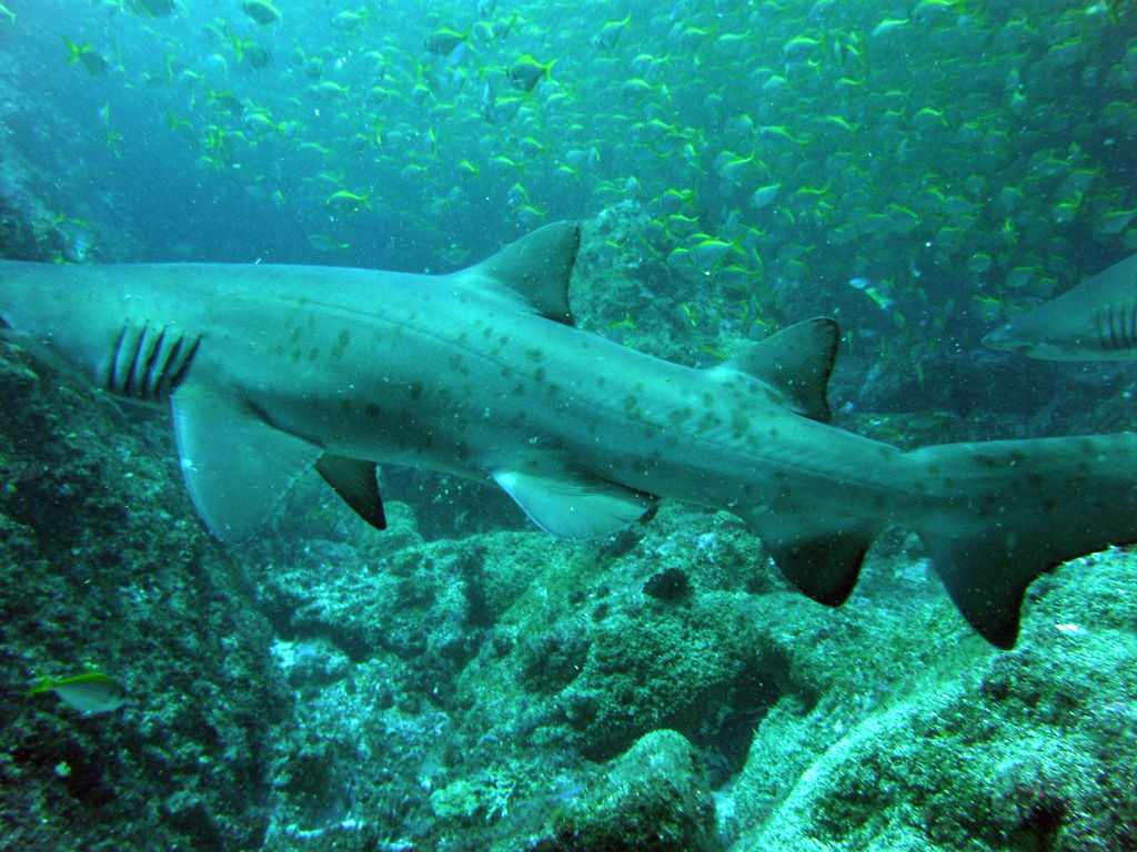 9e1709ea-16ff-4916-86a3-374ad6a98bde