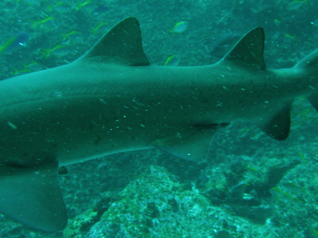 496e284e-ac6a-4f33-bd2d-028a311ca065