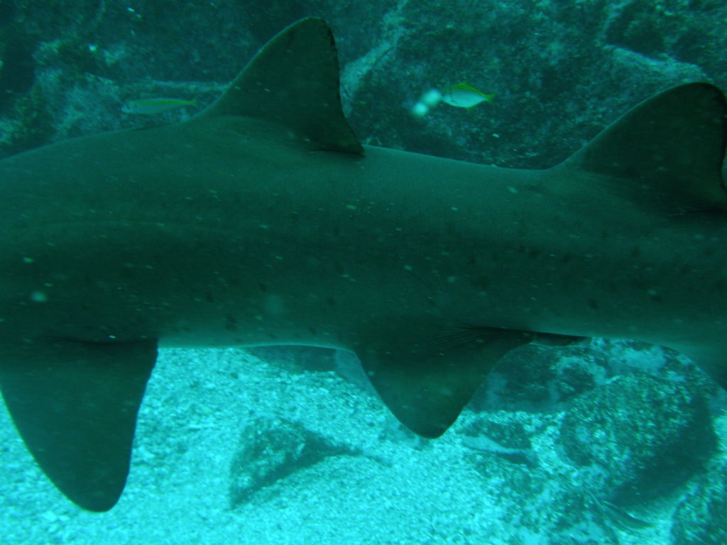 496e284e-ac6a-4f33-bd2d-028a311ca065