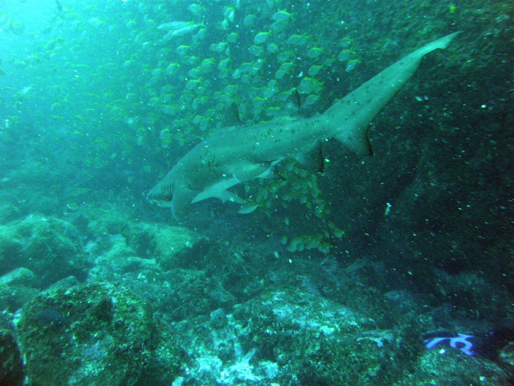 ed688cd6-3a61-46d6-86fd-61590b3c6fbc