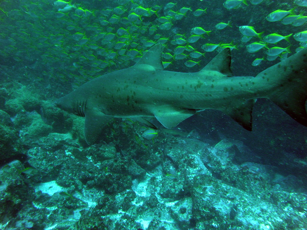 ed688cd6-3a61-46d6-86fd-61590b3c6fbc