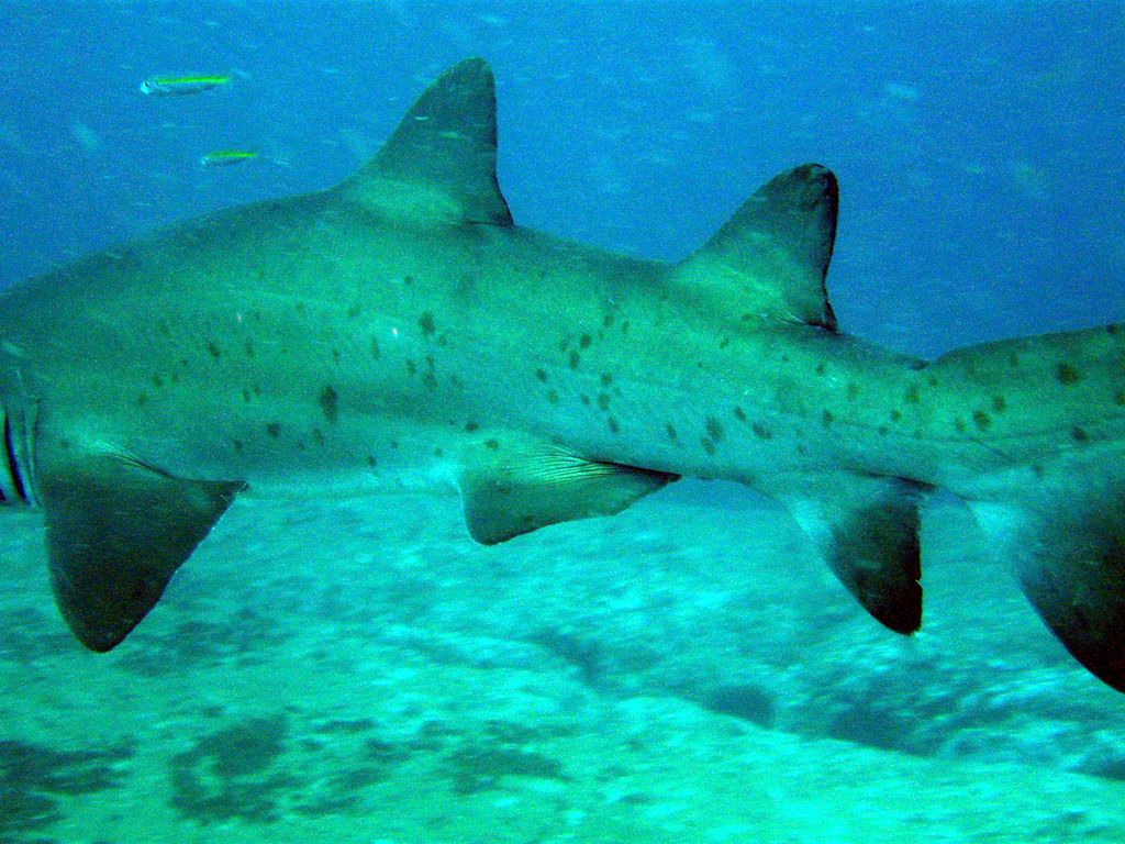 557ae21e-719a-4b44-acad-8ddd1b36c819