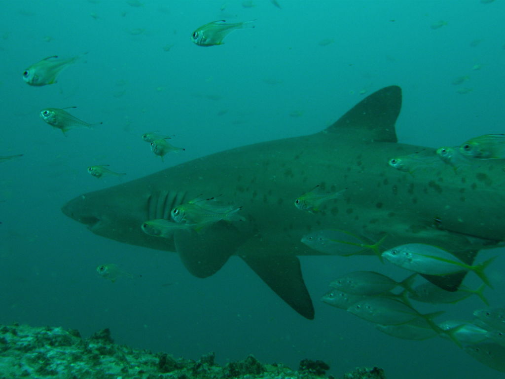 dc228b8d-7081-468e-9874-c77a55f01e0f