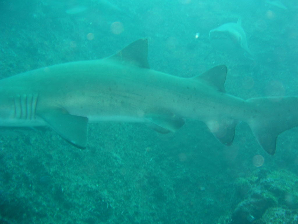 8b799435-8350-484e-b4e5-6ad9cd6184e7