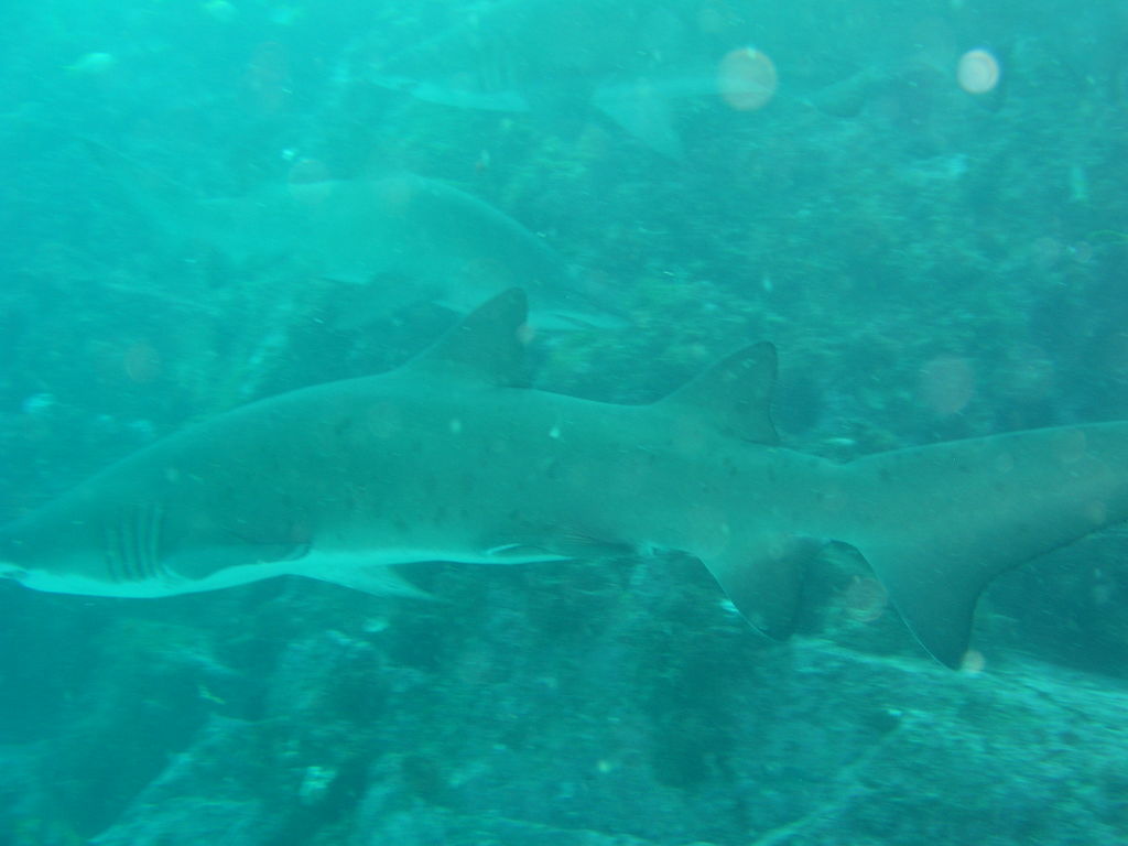 c22af6c8-8caa-420d-93f5-cd23a77e7bbb