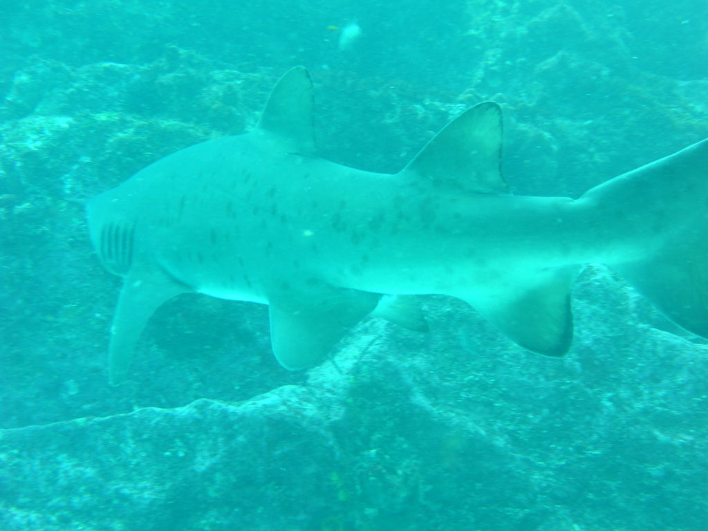 9e1709ea-16ff-4916-86a3-374ad6a98bde