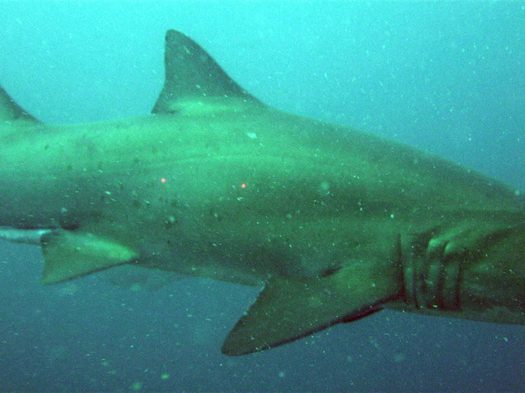 eb7bbe58-b68f-45c1-996e-035e82d4da9e