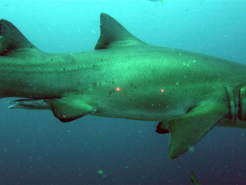 eb7bbe58-b68f-45c1-996e-035e82d4da9e