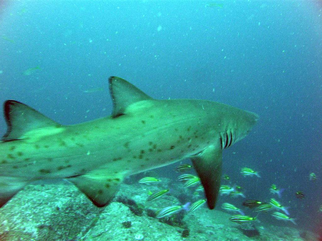 1b7b9feb-4293-4610-a380-bfb387aa3631