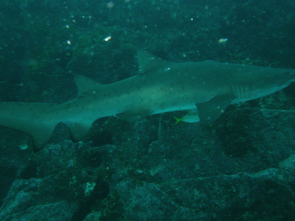 153eadc2-e76d-4a2d-98a0-ebcb75393cb4