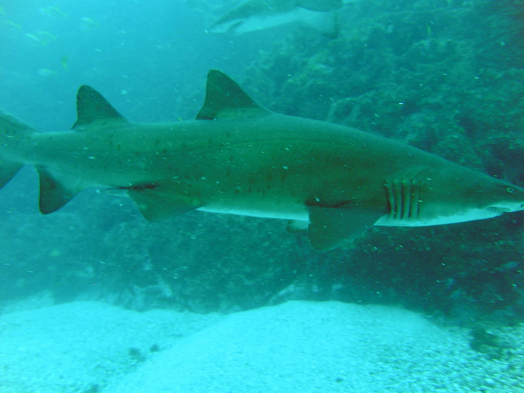 3a0f7579-7c40-4b02-91d2-ea217c48ce8b