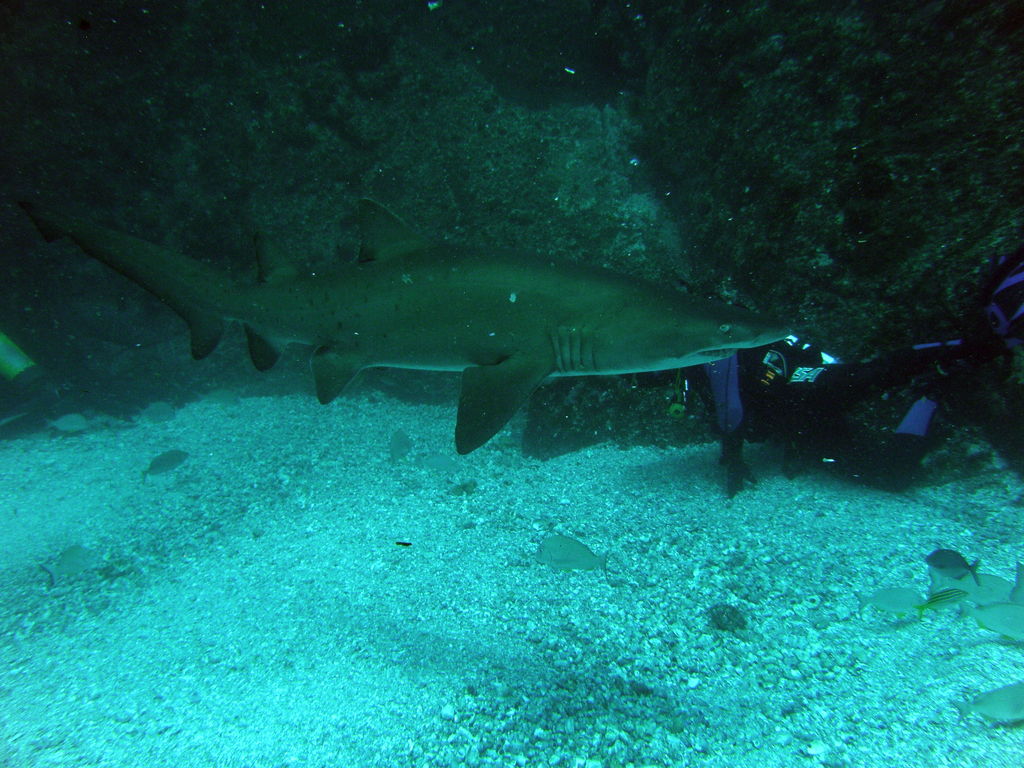 da8bc358-8fce-4760-80a0-ae46ae03e4fc